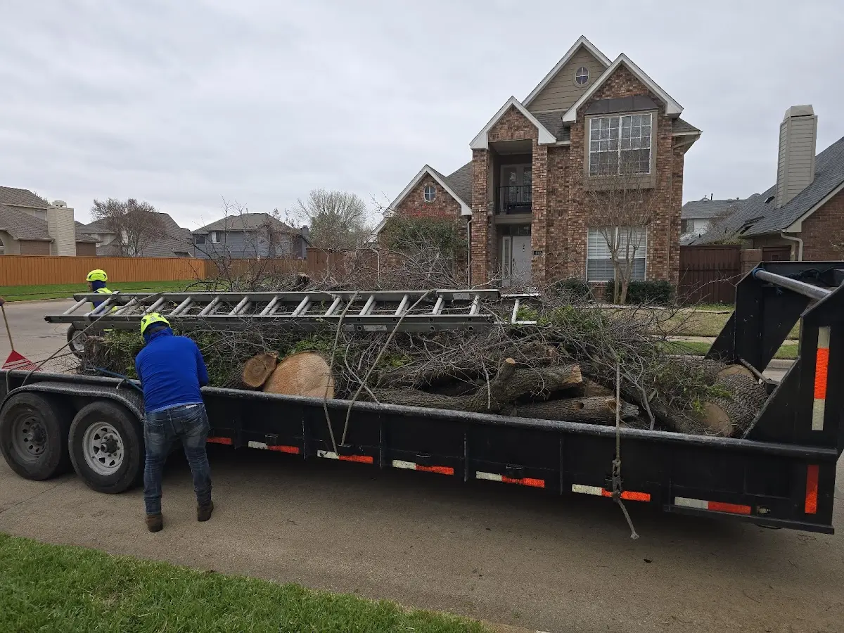 Expert Tree Fertilization with proper safety equipment in Sumpter